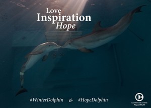  Winter and Hope
