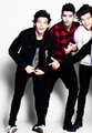 Zouis and Harry           - one-direction photo