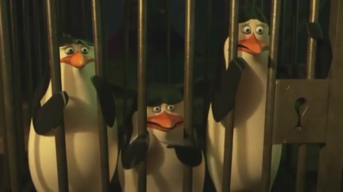 (Potential Movie Spoiler) Little Feather - penguins-of-madagascar Photo