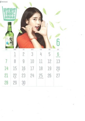 [SCANS] IU Chamisul Soju 2015 Calendar.
