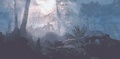    Tomb Raider    - video-games photo
