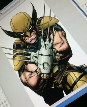                     Wolverine