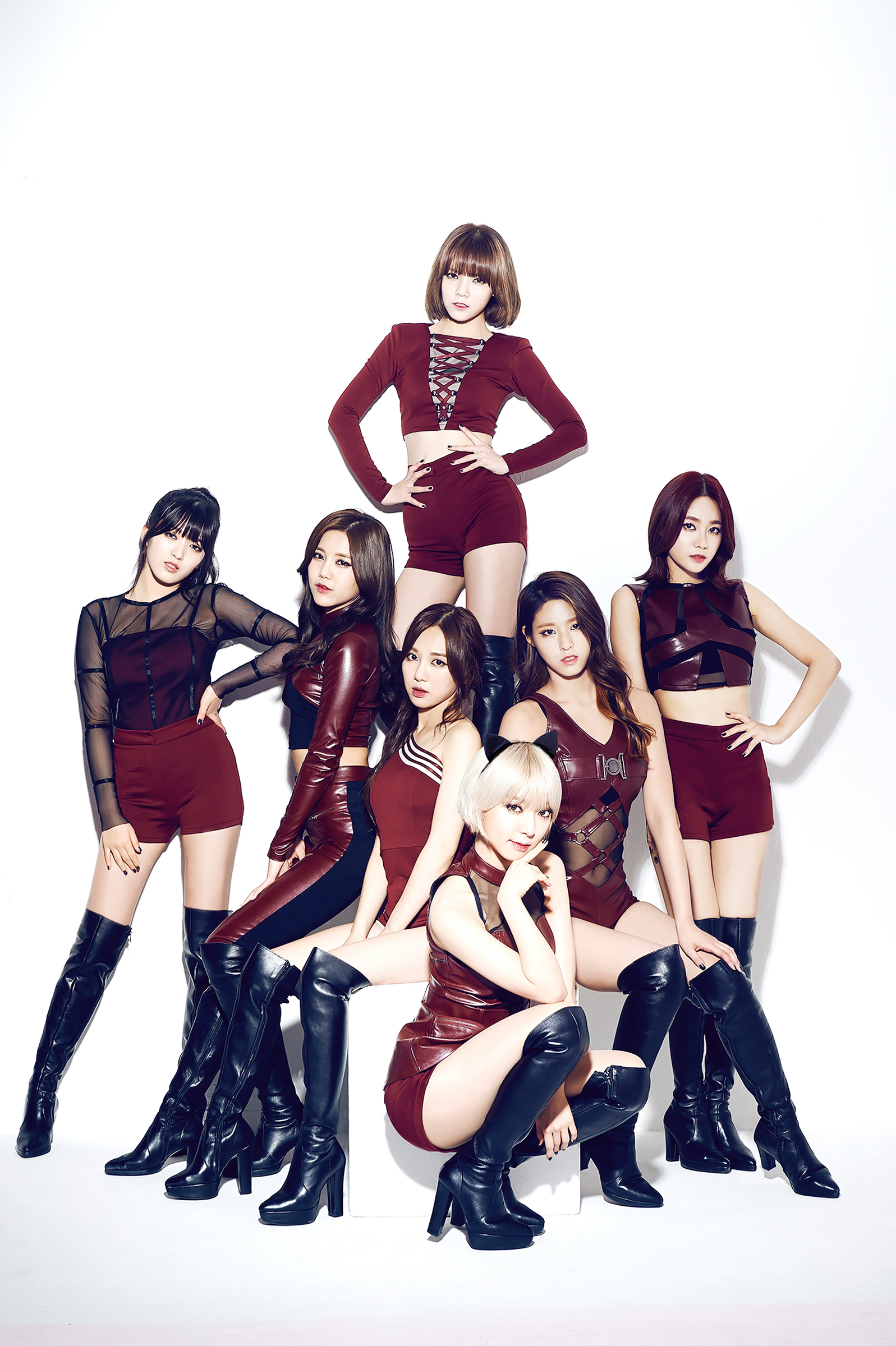 Aoa Concept 写真 For Like A Cat Aoa Ace Of Angels 写真 ファンポップ