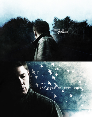 Dean             