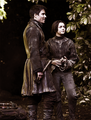 Arya Stark & Gendry - game-of-thrones fan art