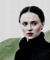 Sansa Stark - game-of-thrones fan art