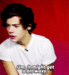 Harry Styles            - one-direction icon