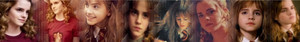 Hermione Granger Banner