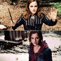 Hermione      - harry-potter photo