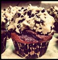 I love Cupcakes❤ ❥ - cupcakes photo
