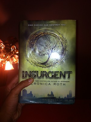  Insurgent, One choice can destroy wewe
