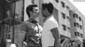 Klaine Season 5 kiss - glee photo
