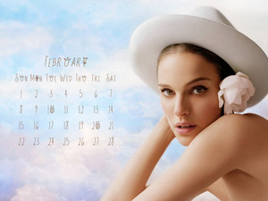 NP.COM Calendar - February