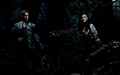 once-upon-a-time - Outlaw Queen Into The Woods wallpaper