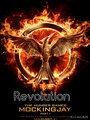 Revolution  - the-hunger-games photo