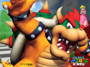  Super Mario 64 DS Hintergrund