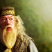 Albus Dumbledore - harry-potter icon