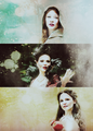 Belle, Regina and Snow  - once-upon-a-time fan art