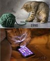 Cats Then And Now  - random photo