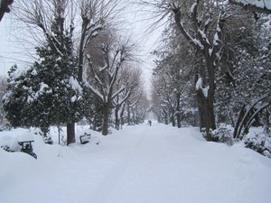  Cismigiu park Bucharest Bucuresti Romania winter