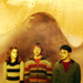 Golden Trio - hermione-granger icon