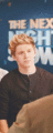 Niall Horan           - niall-horan fan art