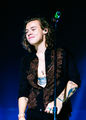 On the Road Again - harry-styles photo