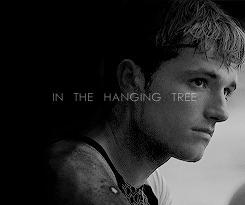  Peeta/Katniss Gif - The Hanging árbol