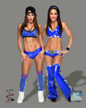 Promotional Photo - Bella Twins - wwe-divas photo