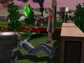 Sims 3 Random Screenshots - the-sims-3 photo