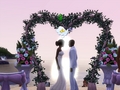 Sims 3 Wedding pics - the-sims-3 photo