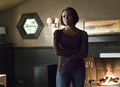 TVD "A Bird In A Gilded Cage" (6x17) promotional picture - the-vampire-diaries-tv-show photo
