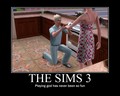 The Sims 3 Meme - the-sims-3 photo
