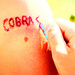 'Cobras' Tattoo - stand-by-me icon