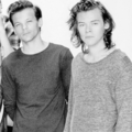                Louis and Harry - one-direction photo