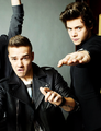 1D           - one-direction photo