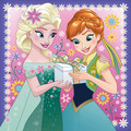 Elsa and Anna - disney-princess photo