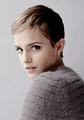 Emma Watson                 - emma-watson photo