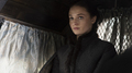 Sansa Stark - game-of-thrones photo
