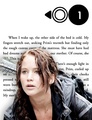Katniss Everdeen | Mockingjay - Chapter One - the-hunger-games fan art