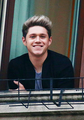 Niall Horan       ♚             - one-direction photo