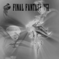 Squall Leonhart And Seifer Almasy - final-fantasy-viii photo