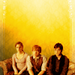 The Golden Trio - hermione-granger icon