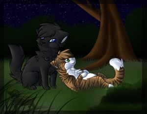  crowfeather and leafpool