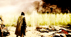  the lord of the rings / gifs