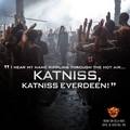               Katniss Everdeen - the-hunger-games photo