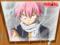 *Natsu Going to Find Gray* - fairy-tail photo