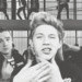                    Niall - one-direction icon