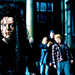 Bellatrix, Ron, Hermione and greyback - harry-potter icon