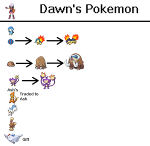 Dawn's Pokemmon
